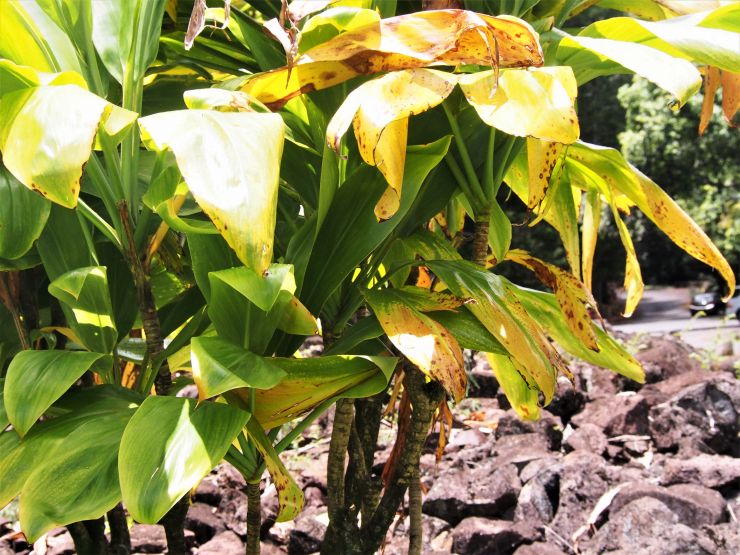 Actualité Header Image