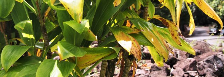 Actualité Header Image